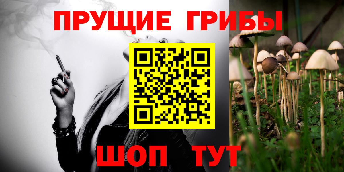 Кизляр  Псилоцибиновые грибы ЛСД  Вход с VPN 